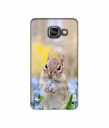 Amazon Brand - Solimo Designer Squirrel 3D Printed Hard Back Case Mobile Cover for Samsung Galaxy A3 (2016)