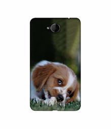 Amazon Brand - Solimo Designer Cute Puppy 3D Printed Hard Back Case Mobile Cover for Microsoft Lumia 650