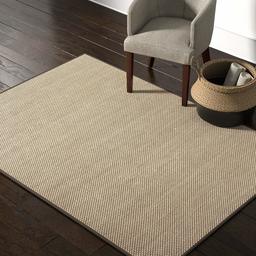 Amazon Brand – Rivet Woven Bordered Sisal Area Rug, 5 x 7 Foot, Charcoal