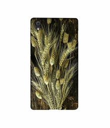 Amazon Brand - Solimo Designer Wheat Plants 3D Printed Hard Back Case Mobile Cover for Oneplus X