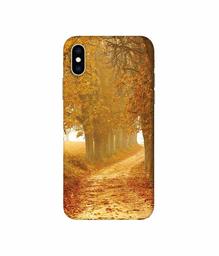 Amazon Brand - Solimo Designer Autumn Scene 3D Printed Hard Back Case Mobile Cover for Apple iPhone Xs Max