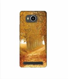 Amazon Brand - Solimo Designer Autumn Scene 3D Printed Hard Back Case Mobile Cover for Lenovo A7700