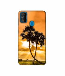 Amazon Brand - Solimo Designer SunSide View 3D Printed Hard Back Case Mobile Cover for Samsung Galaxy M21 / M30s