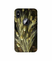 Amazon Brand - Solimo Designer Wheat Plants 3D Printed Hard Back Case Mobile Cover for Apple iPhone X (Logo Cut)