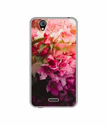 Amazon Brand - Solimo Designer Blossom Weather UV Printed Soft Back Case Mobile Cover for Gionee P5 Mini