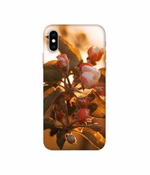 Amazon Brand - Solimo Designer Flowers 3D Printed Hard Back Case Mobile Cover for Apple iPhone Xs Max