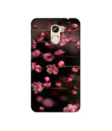 Amazon Brand - Solimo Designer Pink Flowers 3D Printed Hard Back Case Mobile Cover for Gionee X1