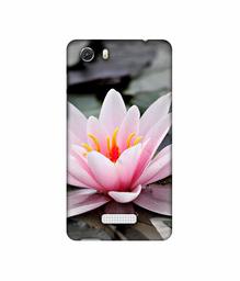 Amazon Brand - Solimo Designer Lotus 3D Printed Hard Back Case Mobile Cover for Micromax Canvas Unite 3 Q372