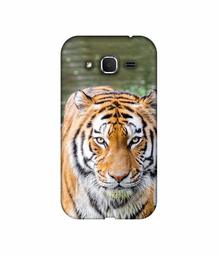 Amazon Brand - Solimo Designer Tiger in Water 3D Printed Hard Back Case Mobile Cover for Samsung Galaxy Core Prime