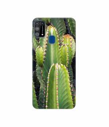 Amazon Brand - Solimo Designer Desert Plant 3D Printed Hard Back Case Mobile Cover for Samsung Galaxy M31