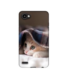 Amazon Brand - Solimo Designer Sleepy Kitten UV Printed Soft Back Case Mobile Cover for LG Q6