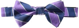 Pajarita de seda con botón para hombre, 100% para hombre, color morado claro/azul marino, talla única