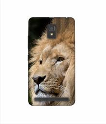 Amazon Brand - Solimo Designer Lion 3D Printed Hard Back Case Mobile Cover for Lenovo A6600