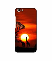 Amazon Brand - Solimo Designer Sunshade 3D Printed Hard Back Case Mobile Cover for Vivo Y69