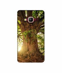 Amazon Brand - Solimo Designer Tree Trunk 3D Printed Hard Back Case Mobile Cover for Samsung Z2