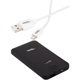 AmazonBasics PowerBank (5,600 mAh) and Lightning Cable (3 Feet - White)