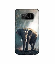 Amazon Brand - Solimo Designer Elephant 3D Printed Hard Back Case Mobile Cover for Samsung Galaxy S8 Plus