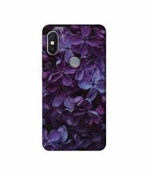 Amazon Brand - Solimo Designer Purple Flowers UV Printed Soft Back Case Mobile Cover for Mi Redmi Y2