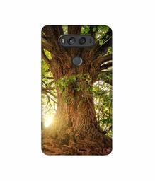 Amazon Brand - Solimo Designer Tree Trunk 3D Printed Hard Back Case Mobile Cover for LG V20