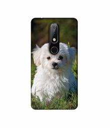 Amazon Brand - Solimo Designer White Dog 3D Printed Hard Back Case Mobile Cover for Nokia 6.1 Plus