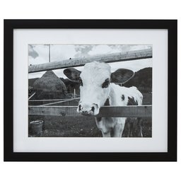 Amazon Brand – Stone & Beam Black and White Curious Cow Photo Wall Art Decor - 13