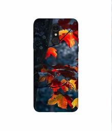 Amazon Brand - Solimo Designer Autumn Leaf 3D Printed Hard Back Case Mobile Cover for LG Q7