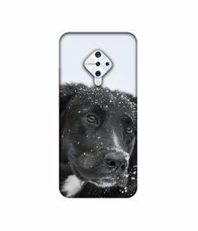 Amazon Brand - Solimo Designer Labrador Dog 3D Printed Hard Back Case Mobile Cover for Vivo S1 Pro