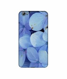 Amazon Brand - Solimo Designer Light Blue Flower Photography 3D Printed Hard Back Case Mobile Cover for Vivo Y66