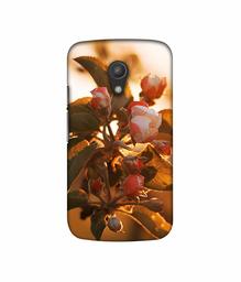 Amazon Brand - Solimo Designer Flowers 3D Printed Hard Back Case Mobile Cover for Motorola Moto G 2nd Generation