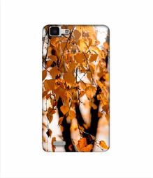 Amazon Brand - Solimo Designer Autumn Photography 3D Printed Hard Back Case Mobile Cover for Vivo Y27L