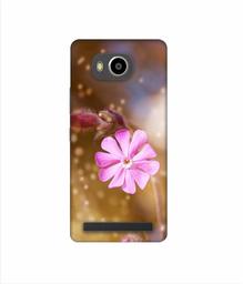 Amazon Brand - Solimo Designer Pink Flower 3D Printed Hard Back Case Mobile Cover for Lenovo A7700