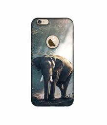 Amazon Brand - Solimo Designer Elephant 3D Printed Hard Back Case Mobile Cover for Apple iPhone 6 / 6S (Logo Cut)