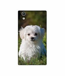 Amazon Brand - Solimo Designer White Dog UV Printed Soft Back Case Mobile Cover for Sony Xperia R1 Plus