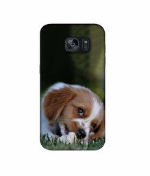 Amazon Brand - Solimo Designer Cute Puppy 3D Printed Hard Back Case Mobile Cover for Samsung Galaxy S7 Edge