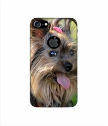 Amazon Brand - Solimo Designer Hairy Puppy 3D Printed Hard Back Case Mobile Cover for Apple iPhone 7 (with Logo Cut)