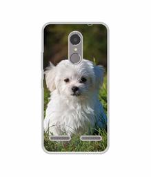 Amazon Brand - Solimo Designer White Dog UV Printed Soft Back Case Mobile Cover for Lenovo K6 Power