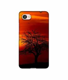 Amazon Brand - Solimo Designer Nature View 3D Printed Hard Back Case Mobile Cover for Xiaomi Redmi Y1 Lite