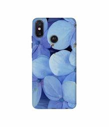 Amazon Brand - Solimo Designer Light Blue Flower Photography 3D Printed Hard Back Case Mobile Cover for Motorola One Power