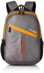 Amazon Brand - Solimo Svelte Laptop Backpack for 15.6-inch Laptops (27 litres,Grey)