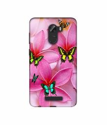 Amazon Brand - Solimo Designer B-Butterflies 3D Printed Hard Back Case Mobile Cover for Gionee A1 Lite