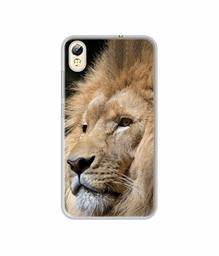 Amazon Brand - Solimo Designer Lion UV Printed Soft Back Case Mobile Cover for Tecno i3 Pro