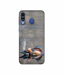 Amazon Brand - Solimo Designer Duck 3D Printed Hard Back Case Mobile Cover for Samsung Galaxy M21