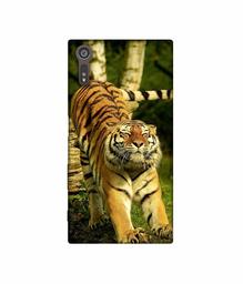 Amazon Brand - Solimo Designer Tiger 3D Printed Hard Back Case Mobile Cover for Sony Xperia XZ Dual