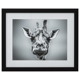 Amazon Brand – Stone & Beam Modern Black and White Giraffe Portrait Photo Print Framed Wall Art Decor - 18 x 22 Inch Frame, Black