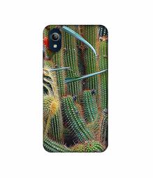 Amazon Brand - Solimo Designer Cactus 3D Printed Hard Back Case Mobile Cover for Vivo Y91i