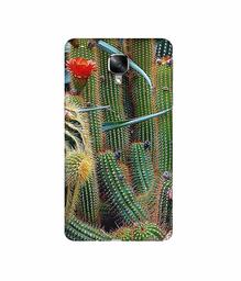 Amazon Brand - Solimo Designer Cactus 3D Printed Hard Back Case Mobile Cover for OnePlus 3 / OnePlus 3T