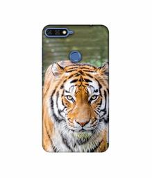 Amazon Brand - Solimo Designer Tiger in Water 3D Printed Hard Back Case Mobile Cover for Huawei Honor 7A