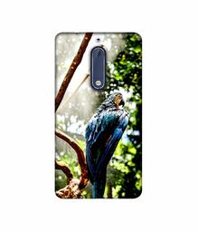 Amazon Brand - Solimo Designer Macaw Parrot 3D Printed Hard Back Case Mobile Cover for Nokia 5