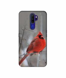 Amazon Brand - Solimo Designer Red Engry Bird 3D Printed Hard Back Case Mobile Cover for Oppo A9 (2020)