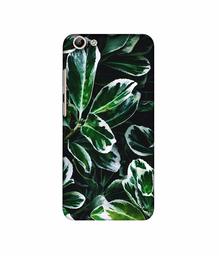 Amazon Brand - Solimo Designer Leaf Imperation 3D Printed Hard Back Case Mobile Cover for Vivo Y69